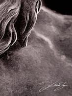 LEDMansion - Zeus Censored – Divinità e Dissacrazione, Antiek en Kunst