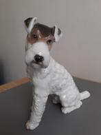 Rosenthal - Beeldje - Chien Fox Terrier assis - Porselein, Antiek en Kunst