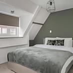 Gestoffeerde studio met eigen keuken en badkamer aan de Spru, 35 tot 50 m², Rotterdam