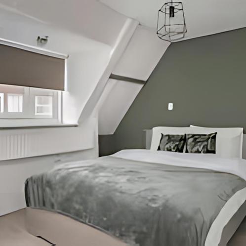 Gestoffeerde studio met eigen keuken en badkamer aan de Spru, Huizen en Kamers, Kamers te huur, 35 tot 50 m², Rotterdam