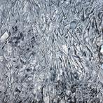 Bruno Cantais (1966) - Microcosme