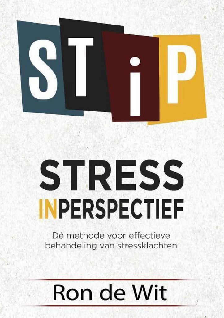 Stress in perspectief 9789492261199 Ron de Wit, Boeken, Psychologie, Gelezen, Verzenden