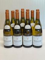 2019 Patriarche. Bourgogne Chardonnay - Bourgogne - 12, Nieuw