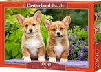 Welsh Corgi Puppies Puzzel (1000 stukjes) | Castorland -