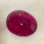 Roze Toermalijn - 22.89 ct - nternational Colored Gemstone, Nieuw