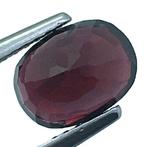 Zonder Minimumprijs Rood Spinel - 1.85 ct - International, Nieuw