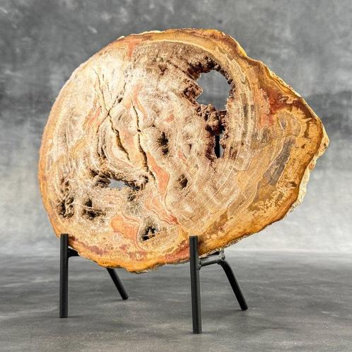 Wonderland plak van versteend hout op een op maat gemaakte, Antiek en Kunst, Kunst | Designobjecten