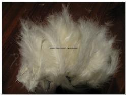 Veertjes Feather Fluffy White +/- 15 st Veertjes Feathe, Hobby en Vrije tijd, Knutselen, Nieuw, Ophalen of Verzenden