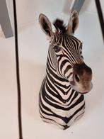 Zebra Taxidermie schoudermontage - Equus quagga - 82 cm - 42, Nieuw