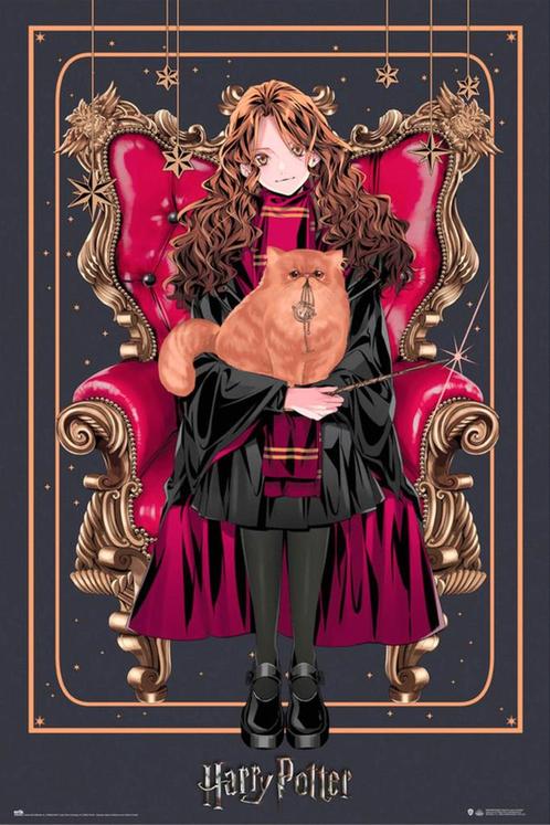 Poster Harry Potter Wizard Dynasty Hermione Granger, Verzamelen, Posters, Nieuw, A1 t/m A3, Verzenden