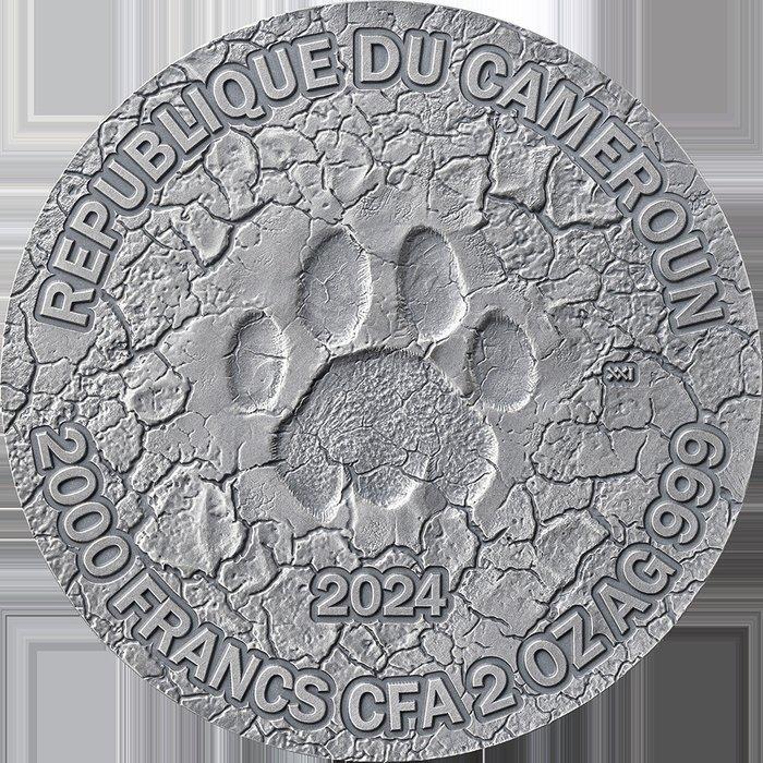 Kameroen. 2000 Francs 2024 The Grace of Lioness Circle of, Postzegels en Munten, Munten | Europa | Niet-Euromunten