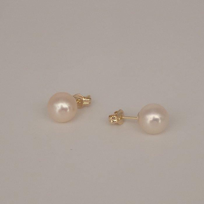 Zonder Minimumprijs - Oorbellen - 18 karaat Geel goud Parel, Sieraden, Tassen en Uiterlijk, Oorbellen