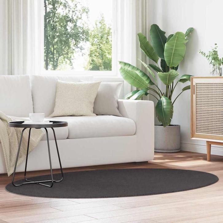 vidaXL Tapijt HUARTE Antraciet 170 x 120 cm 100% Polyester, Huis en Inrichting, Stoffering | Tapijten en Kleden, Nieuw, Verzenden