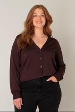 Base Level Curvy vest Yvonne Maat:, Kleding | Dames, Truien en Vesten, Verzenden, Nieuw, Overige kleuren