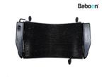 Radiateur Ducati Diavel 2019-2022, Verzenden, Gebruikt