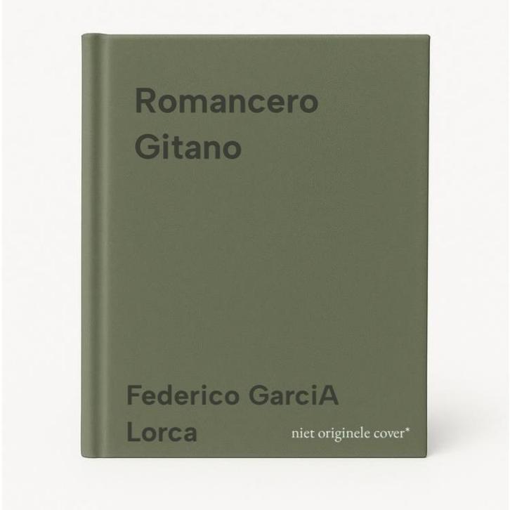 Romancero Gitano 9788423919567 Federico GarciA Lorca, Boeken, Taal | Engels, Gelezen, Verzenden