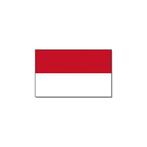 Gevelvlag/vlaggenmast vlag Indonesie 90 x 150 cm - Indones.., Hobby en Vrije tijd, Ophalen of Verzenden, Nieuw