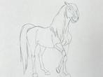 DreamWorks - Spirit animatie tekening - Spirit: Stallion of, Cd's en Dvd's, Dvd's | Tekenfilms en Animatie, Nieuw in verpakking