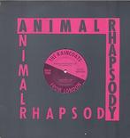 The Raincoats - Animal Rhapsody, Cd's en Dvd's, Vinyl | Pop, Verzenden, Nieuw in verpakking
