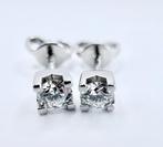Oorbellen - 18 karaat Witgoud - 0.66ct. tw. Diamant, Nieuw