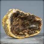 Natuurlijk grote versteende houtkom uit Indonesië- 2851.59 g