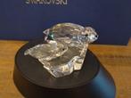 Swarovski - Beeldje - SCS - Annual Edition 1991 - Seals -