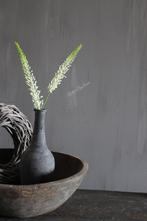 Zijden tak Foxtail / Naald van Cleopatra 75 cm, Ophalen of Verzenden, Nieuw