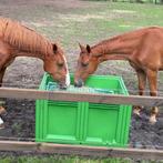 Slowfeeder hooibak XXL 1 kuub paard, Dieren en Toebehoren, Paarden en Pony's | Verzorgingsproducten, Ophalen of Verzenden, Nieuw