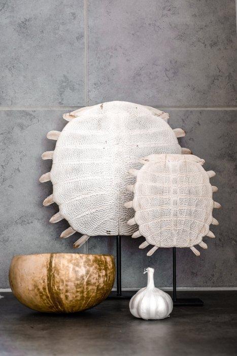 Chinese weekschildpaddenpantser op een aangepaste standaard, Antiek en Kunst, Curiosa en Brocante