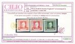 Italiaanse bezetting van Friuli 1918 - Postzegels van, Gestempeld
