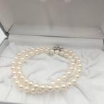 Zonder minimumprijs - Halsketting Zilver Parel - Akoya 7,5, Nieuw