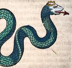 Conrad Gesner [1516-1565] - Mythological Creature, Basilisk