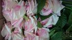 Zijden Roos Groot Roze Peach 60 cm per stuk, Huis en Inrichting, Woonaccessoires | Kunstplanten en Kunstbloemen, Ophalen of Verzenden