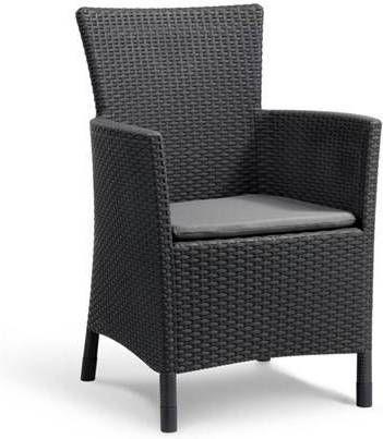 Allibert Tuinstoel Iowa - Grafiet beschikbaar voor biedingen