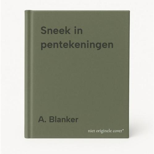 Sneek in pentekeningen 9789079180158 A. Blanker, Boeken, Geschiedenis | Wereld, Gelezen, Verzenden