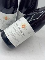 2023 Bourgogne Pinot Noir - Jean Claude Ramonet - Bourgogne, Verzamelen, Wijnen, Nieuw