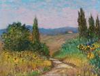Biagio Chiesi (1954) - The sunflowers path - Tuscany, Antiek en Kunst