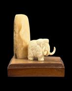 Wolharige mammoet Slagtand - Mammoet Beeld. Gemaakt Van