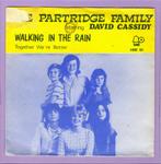 Partridge Family, David Cassidy – Walking In The Rain /..., Cd's en Dvd's, Vinyl Singles, Verzenden, Nieuw in verpakking
