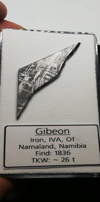 Gibeon meteoriet. Verzameldoos Zonder voorbehoud. IJzer, Verzamelen, Mineralen en Fossielen