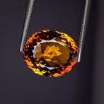 Zonder Minimumprijs Topaas - 19.34 ct - International, Sieraden, Tassen en Uiterlijk, Edelstenen, Nieuw