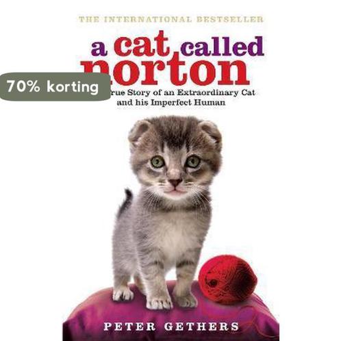Cat Called Norton 9780091933296 Peter Gethers, Boeken, Taal | Engels, Gelezen, Verzenden