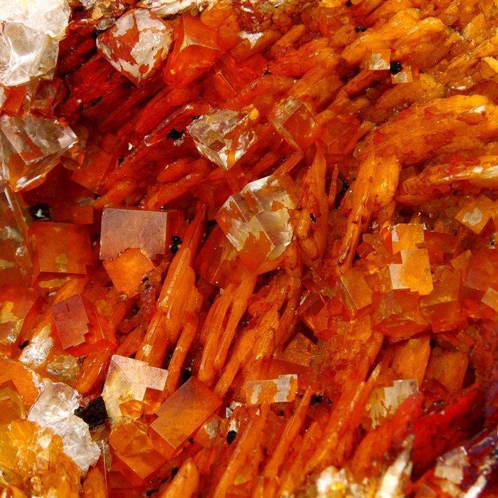 Fluoriet op baryt met oxiden - Clara mijn, Zwarte Woud,, Verzamelen, Mineralen en Fossielen