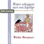 Water scheppen met een lepeltje 9789461645180 Wiebe Brouwer, Boeken, Verzenden, Zo goed als nieuw, Wiebe Brouwer