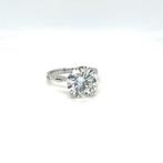 Zonder Minimumprijs - Ring - 14 karaat Witgoud - 4.30ct. tw., Nieuw