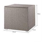 Polyrattan Kussenbox Beige 318L (Schuurtjes-Rekken), Tuin en Terras, Nieuw, Verzenden