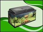 Classic box 60 recht aquarium, Dieren en Toebehoren, Vissen | Aquaria en Toebehoren, Nieuw, Leeg aquarium, Verzenden