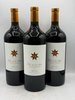 2021 Clos de Los Siete Michel Rolland - Mendoza - 3 Magnums, Nieuw