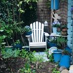 Tijdelijk huis met grote tuin in Haarlem, vrouwenhuis, Overige soorten, Direct bij eigenaar, Haarlem, Noord-Holland