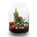 Frosty Kerstmis terrarium - Planten terrarium  DIY kit Chris, Verzenden
